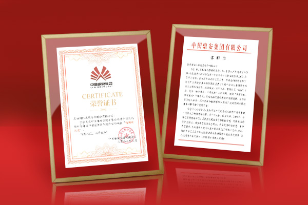 智臻服務 雄安點贊——友誼咨詢雄安商務服務中心項目喜獲點名表揚