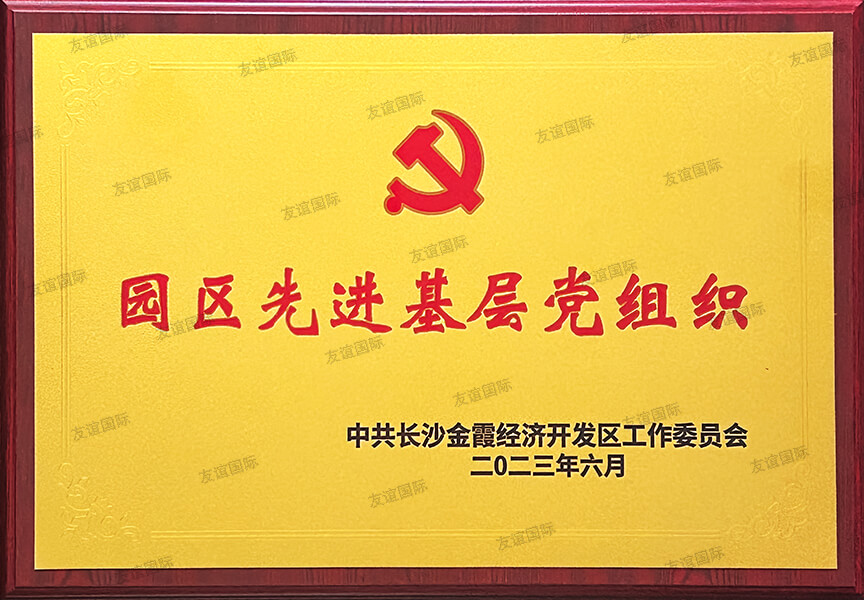 園區(qū)先進基層黨組織