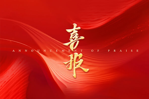 友誼國際問鼎2025年一季度全國全過程工程咨詢中標百強榜首